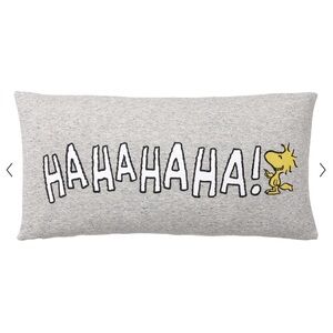 Pottery Barn Teen Peanuts Woodstock Laughing Hahaha pillow cover